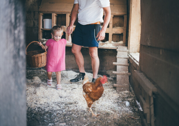     Apa és kislánya a csirkeólban - falusi üdülés Ausztriában 